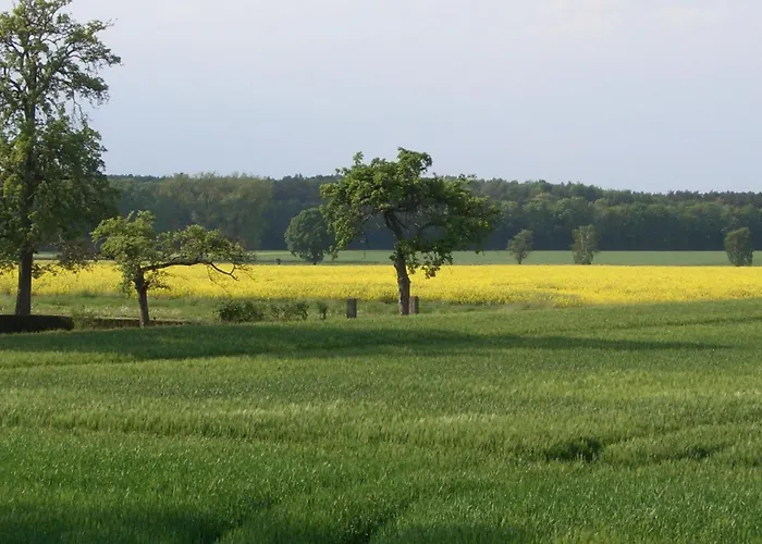 In Mit Grosser Terrasse By Interhome Meerbeck